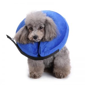 Inflatable Dog Protective Collars - PetCareSunday