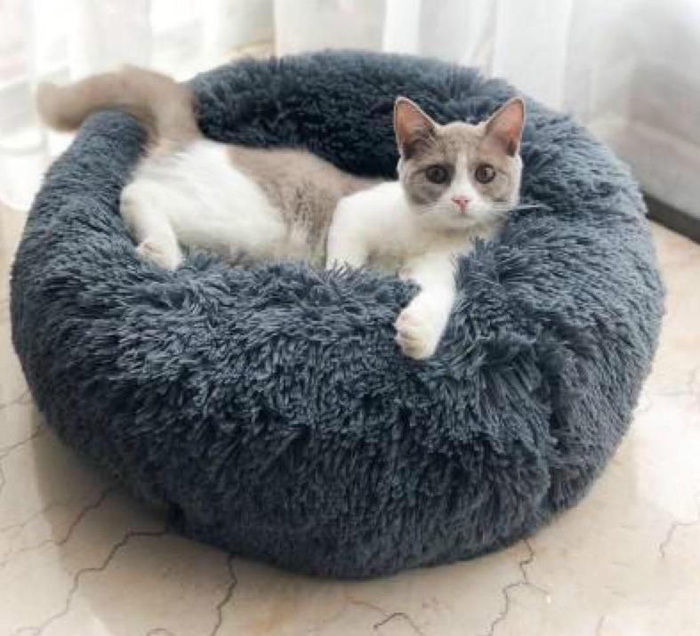 068E7450818A6FF3AAC8CA38A824C61F Comfort Calming Pet Bed - PetCareSunday