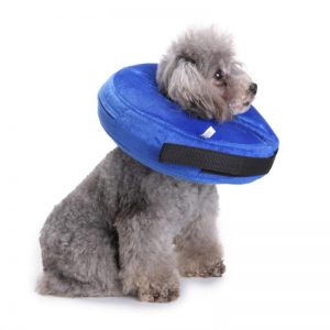Inflatable Dog Protective Collars - PetCareSunday