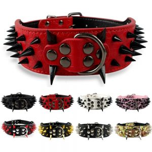 Sharp Spiked Studded Leather Dog Collars - PetCareSunday
