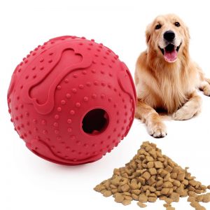 Pet Chew Rubber Toy - PetCareSunday