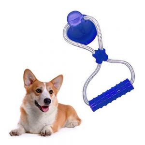 Suction Cup Interactive Molar Dog Toy - PetCareSunday