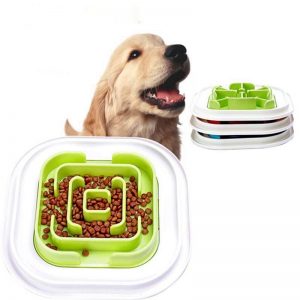 Pet Maze Bowl - PetCareSunday