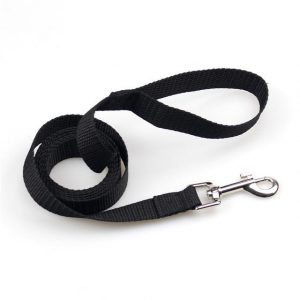 PetCareSunday™ Small Pet Leash - PetCareSunday