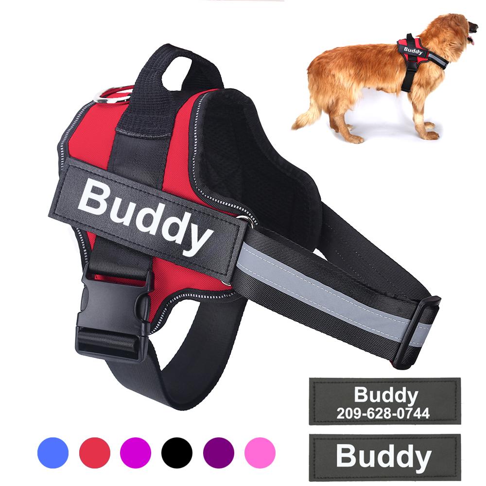 41E21803FBD21BF5CFE2A8F334509867 Personalized Dog Harness - PetCareSunday