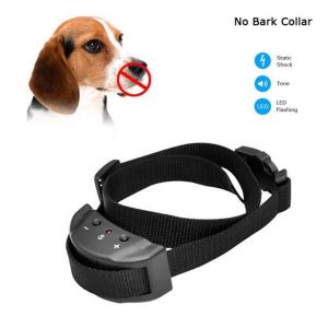 Dog Anti Bark Training Collar - PetCareSunday