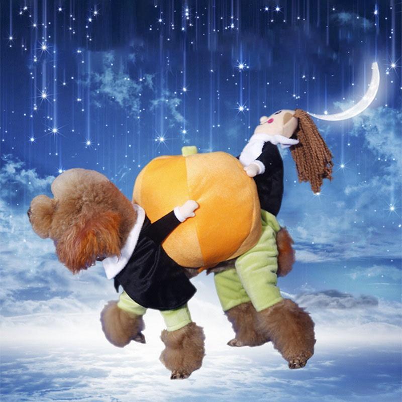 8D135B412DD64EC591A40A2AE8A07642 Funny Pet Pumpkin Cosplay Costume - PetCareSunday