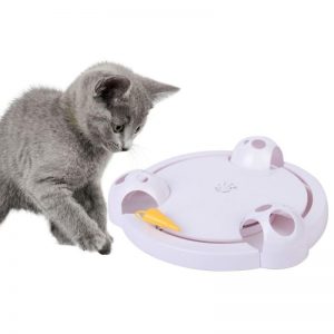 Cat Rotating Teaser Plate - PetCareSunday