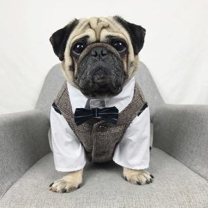 Pet Wedding Party Suits - PetCareSunday