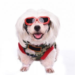 UV Protective Dog Sunglass - PetCareSunday