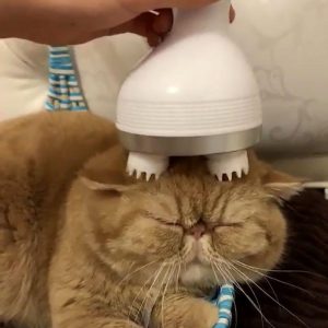 Pet Automatic Head Massager - PetCareSunday