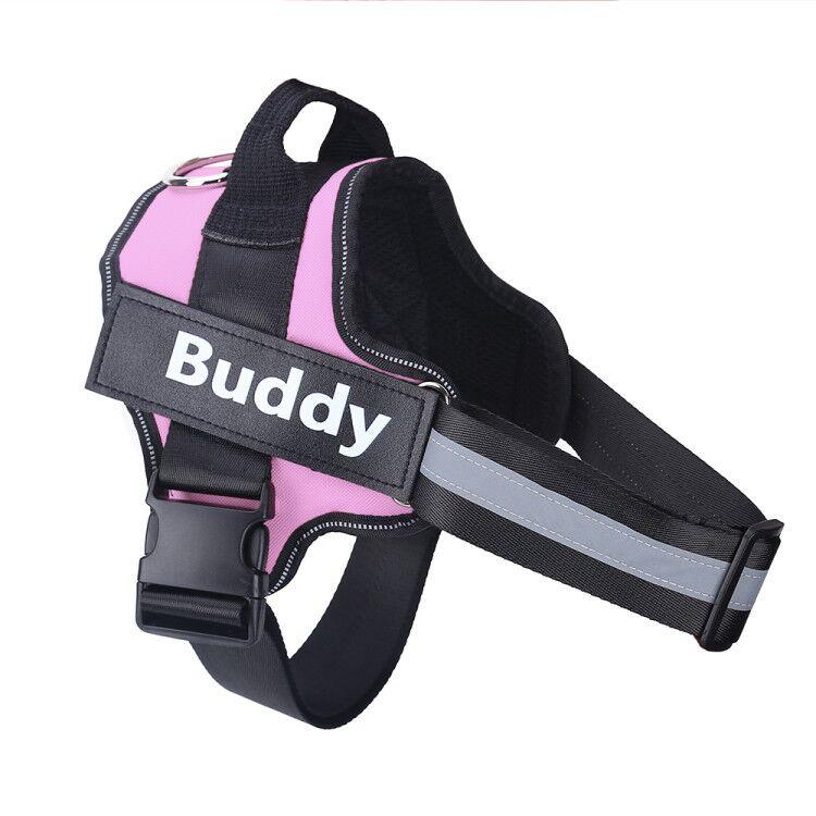 BDE5756515AB301C00A3BFFD76235DD8 Personalized Dog Harness - PetCareSunday