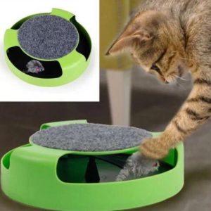 Catch The Mouse Cat Toy - PetCareSunday