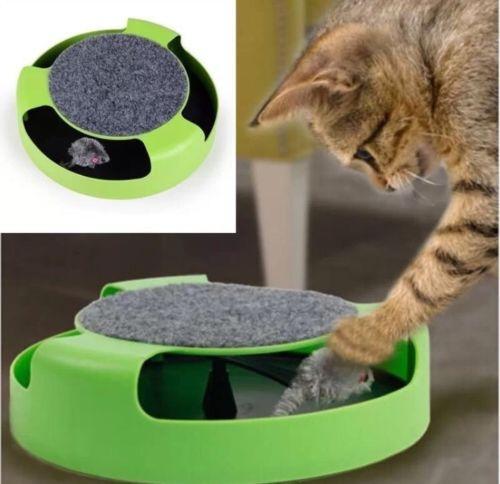 C5ACEA221B7F46E2951A27692E32D69C Catch The Mouse Cat Toy - PetCareSunday
