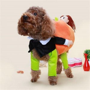 Funny Pet Pumpkin Cosplay Costume - PetCareSunday