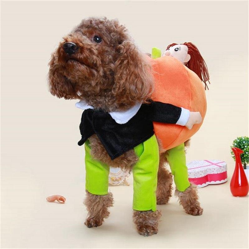 CE7AF7AF2026A637BE6F8A726A77C2F2 Funny Pet Pumpkin Cosplay Costume - PetCareSunday