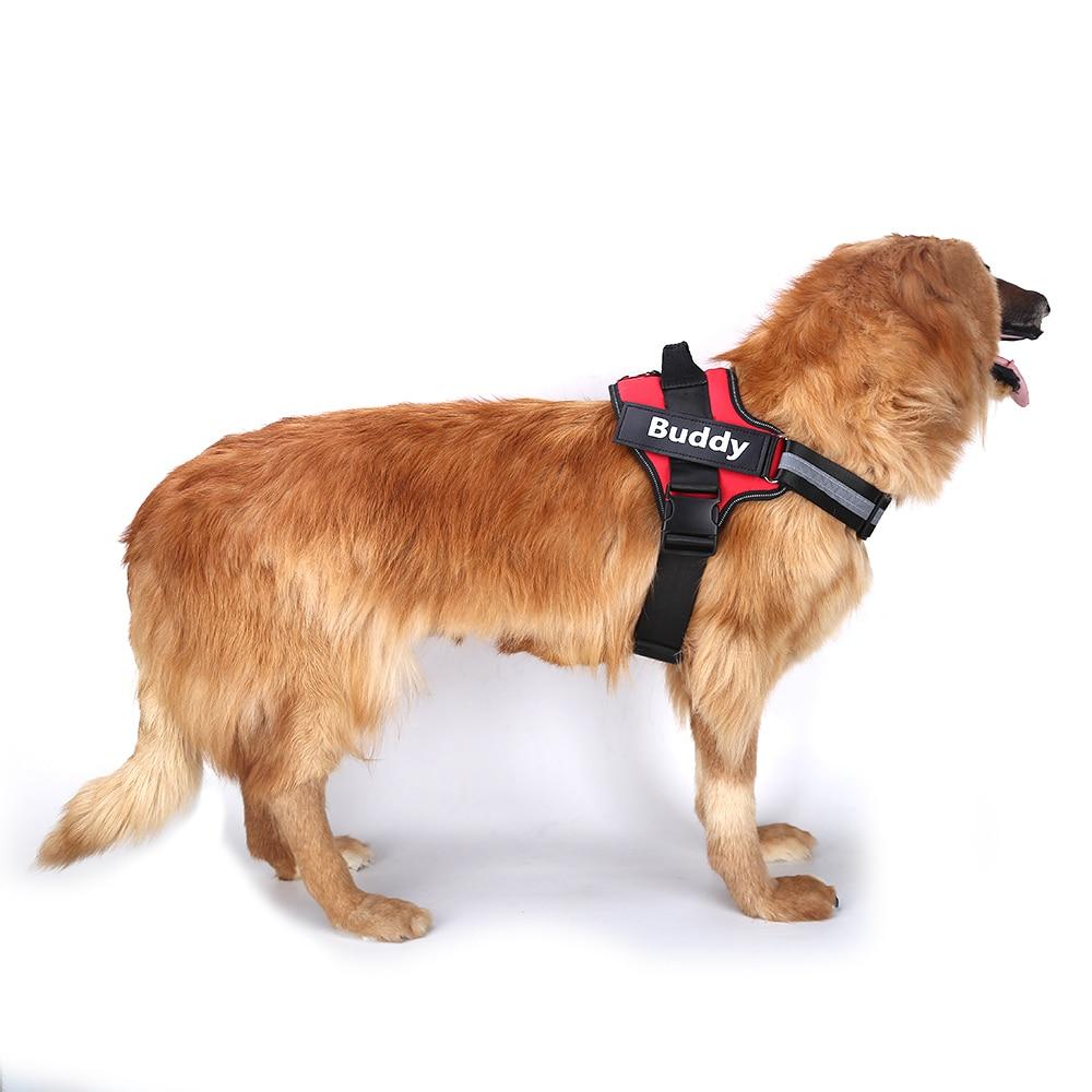 EEE5EABD92677185409B8D86B6E7F742 Personalized Dog Harness - PetCareSunday
