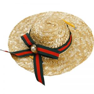Pet Casual Straw Hat - PetCareSunday