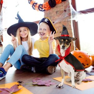Pet Halloween Cloak Hat Set - PetCareSunday