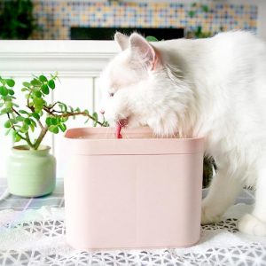 Pet Smart Water Dispenser - PetCareSunday