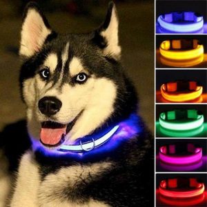 LED Pet Dog Collar - PetCareSunday