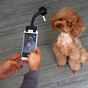 PetCareSunday™ Pet Selfie Stick - PetCareSunday